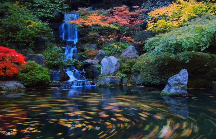 Tips and ideas for landscaping in a Japanese garden | Velvet cushion