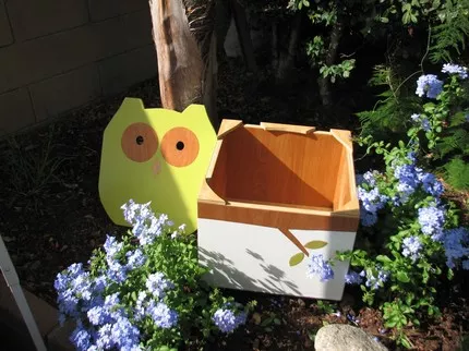 Noah Owl Box